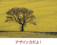 デザイン力だよ!