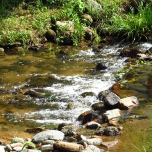 建築会社の負けパターン『性能』『デザイン』『価格』。そして、唯一の勝ちつづけるパターン。