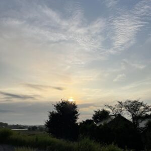 価値のない「誰でも知れる情報（AI、ネット検索、本、セミナー、研修）」。価値のないものを追いかける者の末路。