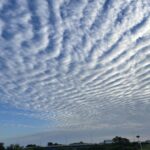 突然、告げられた社員からの離職。