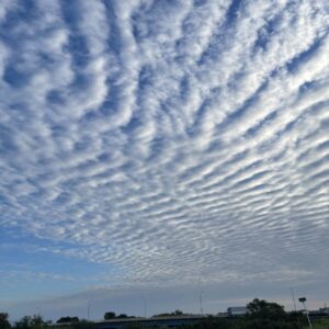 突然、告げられた社員からの離職。