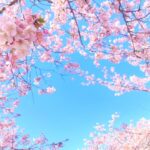 インターネット時代の答え